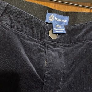 22W Democracy Absolution navy corduroy skinny Jean